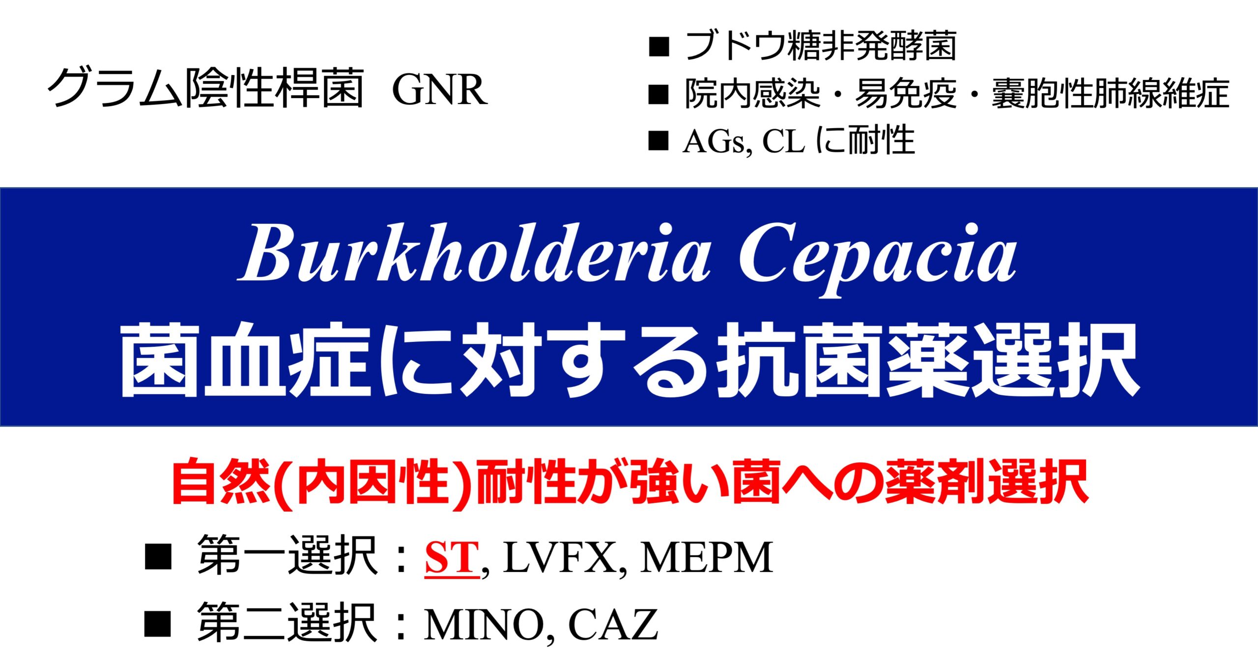 Burkholderia Cepacia に対する抗菌薬選択の考察 アラサー病院薬剤師の映えない日常